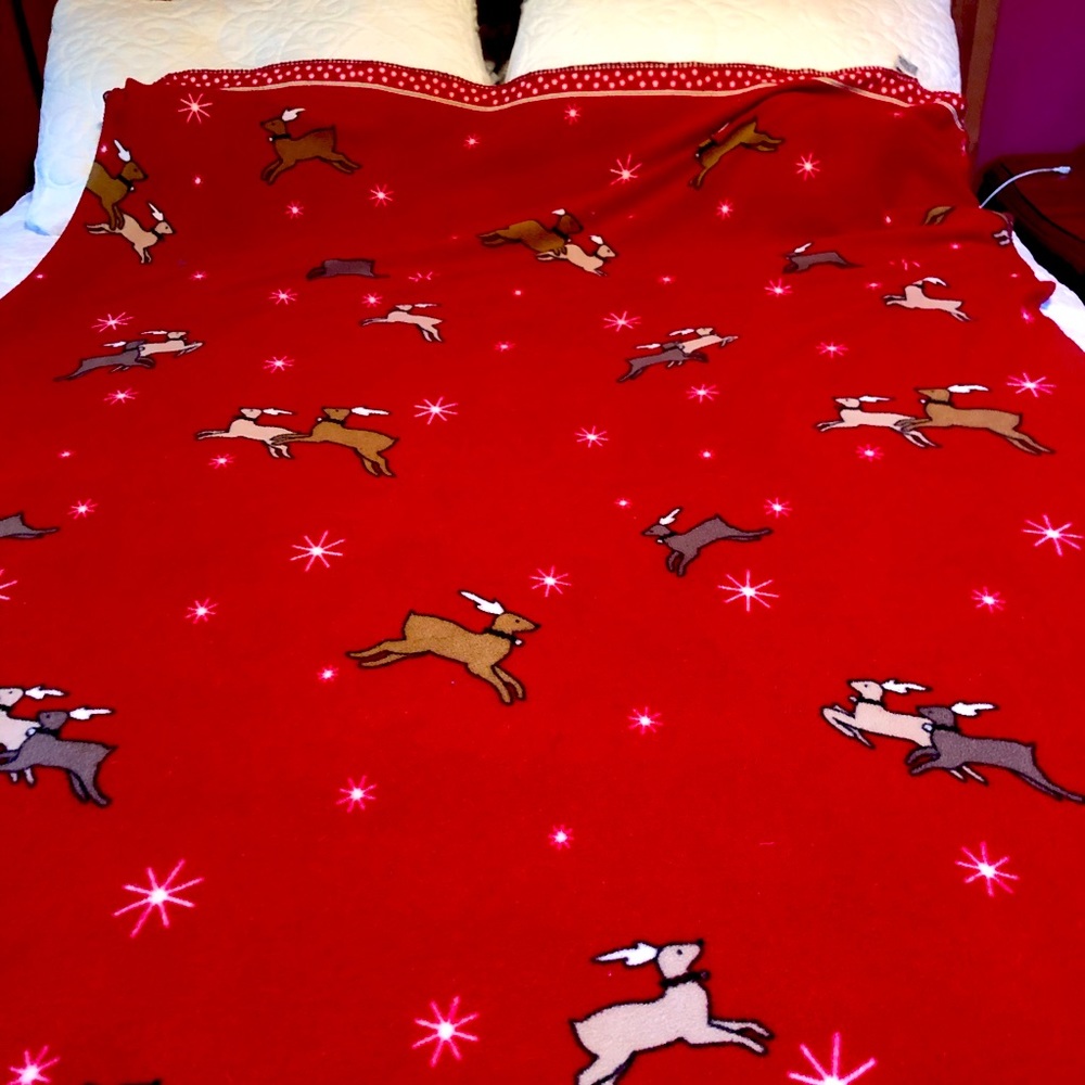 Holiday or winter throw blanket from Martha Stewart Everyday